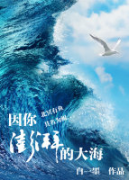 因你澎湃的大海